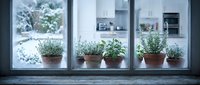 Fresh herbs in terracotta pots arranged on kitchen windowsill with natural light and snowy winter garden view outside creating cozy indoor gardening atmosphere.