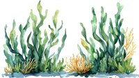 Watercolor seaweed and kelp forest isolated on white background, ready for marine design, educational materials, and coastal themed projects.