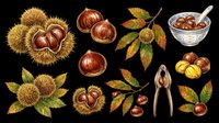 Chestnut collection with spiky husks, whole nuts, autumn leaves, and cracking tool isolated on transparent background. Ready for t-shirt designs, clipart, stickers, print-on-demand products, and sublimation projects.