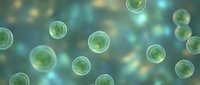 Green translucent spheres floating in soft-focus environment with bokeh lighting effects for scientific research and biotechnology presentations.