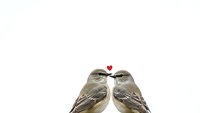 Two small brown songbirds touching beaks with red heart above on white background for romantic greeting cards and love designs.