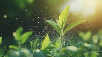Young green plant sprout growing in sunlight with water drops and bokeh effect, nature awakening concept for environmental projects.