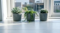 Three small potted succulents arranged on white windowsill with natural light, featuring trailing and rosette varieties in modern gray planters for home decor.