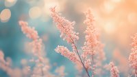 Delicate pink blossoms against blurred turquoise background with soft bokeh lights create dreamy spring atmosphere for nature and wedding photography.