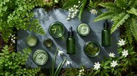 Natural green skincare cosmetics with botanical extracts surrounded by fresh ferns and white flowers on dark stone surface for organic beauty products.