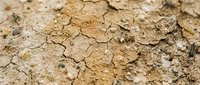 Cracked, parched earth surface showing severe drought conditions and soil erosion patterns, suitable for environmental and climate change concepts.