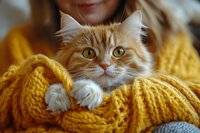 Adorable ginger cat with bright green eyes wrapped in cozy yellow knitted sweater. Close-up portrait showing fluffy fur and expressive feline face in warm autumn mood.