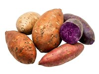 Fresh colorful sweet potatoes variety including purple, orange and white types isolated on white background for healthy cooking and nutrition.