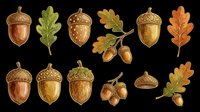 Autumn acorn and oak leaf clipart set, isolated on transparent background, ready for fall T-shirt design, stickers, print on demand, and sublimation projects.