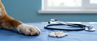 Generated image of a dog's paw on examination table with stethoscope and pills, representing veterinary care, pet health checkup, and animal medicine for healthcare and wellness concepts.