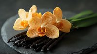 Orange orchid flowers on black wet stones with water drops, dark moody background with dramatic lighting creates spa atmosphere. Wellness and relaxation concept.