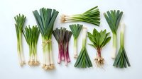 Fresh green onions scallions and leeks arranged on white background showing variety of spring vegetables for cooking and culinary use.