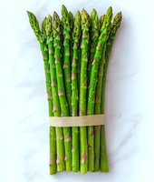 Fresh green asparagus spears bundled with beige band on white background, isolated healthy vegetable for cooking and menu design projects.