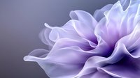 Delicate purple flower petals in soft focus macro photography showing gentle curves and layers with dreamy ethereal lighting against dark background.