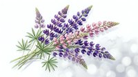 Watercolor lupine flowers in purple and pink hues with green leaves on white background, botanical illustration for spring garden designs and floral decor.