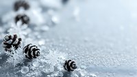 Winter holiday background with pine cones and snowflakes on silver glittery surface for Christmas decorations and seasonal greeting cards.