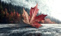 Red maple leaf on stone surface against blurred autumn forest background with dramatic cloudy sky, macro nature photography highlighting seasonal change.