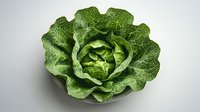 Fresh green lettuce head with detailed textured leaves on light background, isolated food photography for healthy eating and vegetarian cuisine concepts.