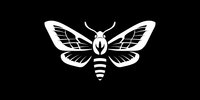 White silhouette of moth with detailed wing pattern and segmented body on black background, perfect for gothic or nature-inspired designs.
