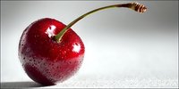 Fresh ripe cherry with water droplets on glossy red skin and green stem against white background, ideal for food packaging design.