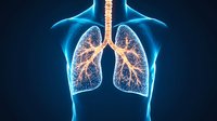 Glowing anatomical visualization of human lungs and bronchi in blue and orange colors against dark background, medical science illustration for healthcare.