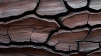 Cracked dark wooden surface with deep fissures and natural weathered texture showing detailed grain pattern and shadows. Macro photography of aged material.
