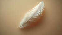 White delicate feather floating on soft brown background with gentle lighting and shadow detail, creating ethereal atmospheric mood for spiritual and wellness designs.