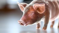 Digital wireframe mesh pig model in pink and white tones showing detailed polygonal structure against blurred background, suitable for veterinary or agricultural design.