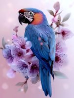 Blue and orange macaw parrot perched among delicate pink cherry blossoms against soft pink background, creating striking contrast between tropical bird and spring flowers.