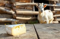 Fresh piece of brie cheese on rustic wooden table with white goat in soft focus background, natural farm setting with authentic rural atmosphere.