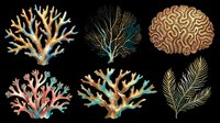 Colorful coral and seaweed botanical illustrations isolated on transparent background. Perfect for marine design projects, t-shirt designs, clipart collections, stickers, sublimation printing, and print-on-demand products.