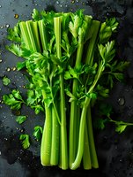 Fresh green celery stalks with leaves on dark background with water drops, dramatic food photography for healthy eating and cooking concepts.