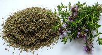 Dried thyme herbs and fresh flowering thyme sprigs on white background for culinary seasoning and natural medicine applications.