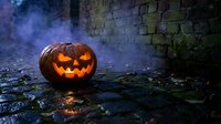 Carved jack-o'-lantern with glowing face sits on wet ground against stone wall with moss and blue atmospheric lighting for seasonal decorations.