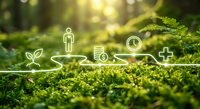 Glowing icons of growth, person, coins, clock, and health cross connected by a path over lush green moss in a sunlit forest.