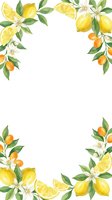Watercolor lemon and orange fruits with green leaves and white blossoms arranged in corners on white background. Suitable for invitations, greeting cards, and culinary designs.