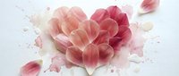 Pink tulip petals arranged in heart shape with scattered petals on white background for romantic design projects and Valentine's Day decorations.