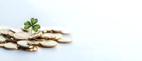 Lucky four leaf clover growing from golden coins on light background, financial growth and prosperity concept for business and investment success.