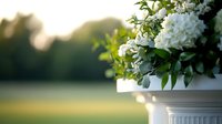 White hydrangea flowers in classic garden planter against soft sunset background, creating elegant outdoor decor atmosphere with bokeh light effects and green foliage.