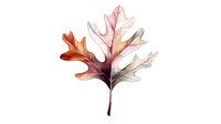 Watercolor autumn oak leaf in warm brown and pink tones on white background, isolated botanical illustration for seasonal decor and stationery design.