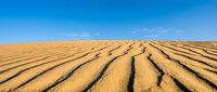 Plowed agricultural field with parallel furrows stretching toward horizon under clear blue sky, suitable for farming, agriculture, and rural landscape projects.