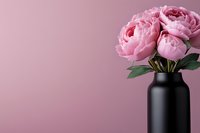 Pink peony flowers in black matte vase against dusty rose background with copy space. Minimalist floral arrangement for modern home decor and design.