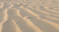 Golden sand dunes with rippled texture patterns created by wind erosion in desert landscape for nature and travel backgrounds.