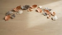 Autumn leaves scattered on wooden surface in warm colors creating seasonal decoration for fall crafts and natural design projects.