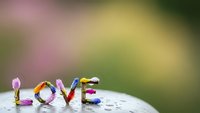 Colorful flower petals arranged to spell LOVE on white surface with soft bokeh background for romantic greeting cards and wedding designs.