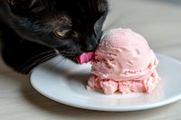 Black cat licking pink strawberry ice cream scoop from white ceramic plate, close-up view showing curious feline behavior and sweet frozen dessert.
