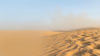 Vast desert landscape with golden sand dunes and rippling patterns under hazy sky, suitable for travel, nature, and background design projects.