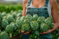 Young Caucasian woman farmer in denim overalls holding fresh harvested artichokes in hands against green artichoke field on sunny day, organic farming concept.