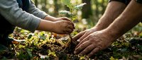 Two people planting a young seedling together in rich soil outdoors, promoting environmental conservation and sustainable forestry practices for reforestation projects.