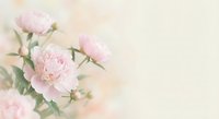 Soft pink carnation flowers on gentle beige background creating romantic floral composition for wedding invitations and feminine design projects.